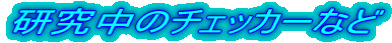 �������̃`�F�b�J�[�Ȃ�